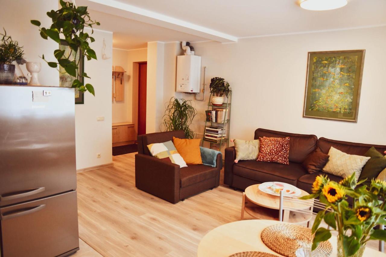 Central Park Apartment Birštonas Exteriér fotografie